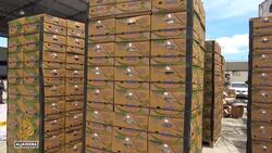 US top diplomat in Latin America: Washington mulls military base in Ecuador News Clip