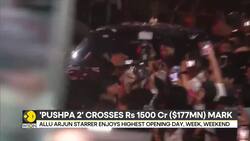 Allu Arjun Starrer 'Pushpa 2' Earns $177 Million Within 14 Days Of Release News Clip