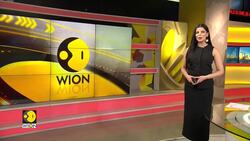 Tulip season marks the beginning of spring in the Netherlands News Clip