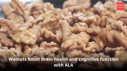 "Discover the Power of Dry Fruits News Clip