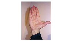What Finger Length Reveals in Palm Reading Instructional Video