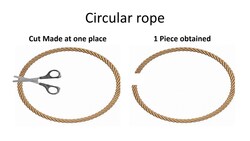 Restriction Mapping of Circular and Linear DNA Instructional Video
