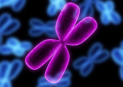 Chromosome Instructional Video