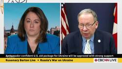 U.S. aid to Ukraine aid tied up in 'messiness of democracy': ambassador News Clip