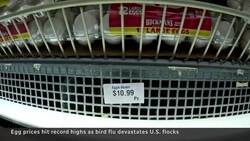 U.S. businesses scramble to manage soaring egg prices News Clip