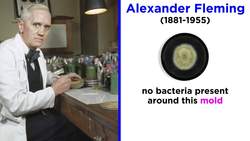 Introduction to Mycology Instructional Video