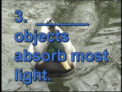 Using Light: Video Quiz Instructional Video