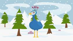 I WONDER - How Long Do Peacock Feather Take To Grow? Instructional Video