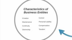 Business Entities (Intro) Instructional Video