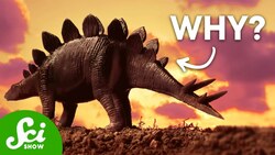 Can You Solve These Dinosaur Mysteries? Instructional Video
