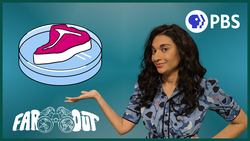 The Future (and Challenges) of Lab-Grown Meat Instructional Video