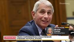 Fauci Says End to Pandemic Is in Sight News Clip