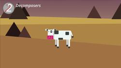 BIOLOGY - Environment - Nitrogen Cycle Instructional Video