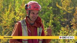 Tree planting project aims to restore caribou habitat in N.W.T.’s Tłı̨chǫ region Instructional Video