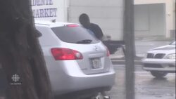 Looters raid Miami stores during Hurricane Irma News Clip