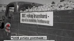 Gray Propaganda Instructional Video