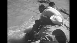 US Navy helicopters fly supplies and rescue people from rooftops in the flooded city of Tampico Mexico in October 1955 News Clip