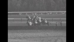 Race horse El Chama from Venezuela wins the Baltimore Washington International Turf Cup, 1955 News Clip