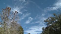 Weather Things: Weather Beauty Instructional Video