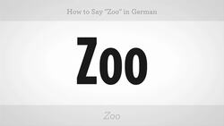 How to Say "Zoo" in German Instructional Video