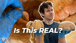 It's Time to STOP Believing These Myths About Your Body Instructional Video