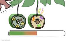 Why Some Fruits Won’t Ripen On Your Counter Instructional Video