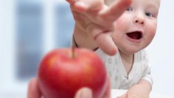 What is the relationship between gesture, language and learning in infants? Instructional Video