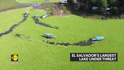 Invasive Plant Threatens El Salvador’s Largest Lake News Clip