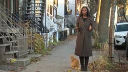 Rent in Quebec is still going up, unlike other provinces News Clip