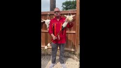 Respectful 'even in death': Elder Stan Kipling shares his work with animals News Clip