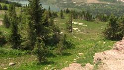 Glacier National Park - Unsure Footing: Glacier's Habituated Mountain Goats Instructional Video