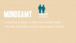 Monogamy Instructional Video
