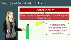 Unraveling the Control and Coordination of Plant Growth: Understanding Phototropism and Gravitropism Instructional Video