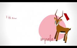 Animal Alphabet Instructional Video