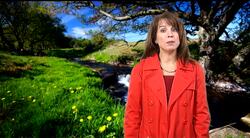 It's Spring Instructional Video