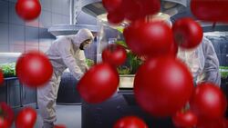 172 - Genetic Modification - One Minute History Instructional Video