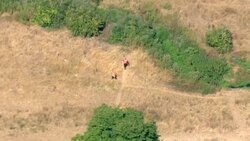 Impact of drought across South East England News Clip