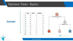 Discuss the importance of data : Basics of decision trees Instructional Video
