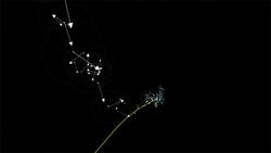 Pure Fourier series animation montage Instructional Video