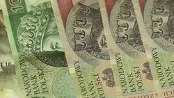 Money Polish Zloty Stock Footage