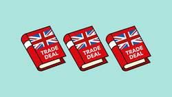 Is The UK Prepared for a No Deal Brexit? Instructional Video