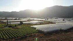 Aerial View of Greenhouse Stock Footage