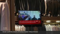 Hamas leader Yahya Sinwar killed in Gaza, Israel confirms Instructional Video