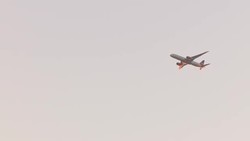 Plane flying lit by sun News Clip