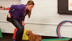 How to Teach Your Dog the Spin Trick Instructional Video