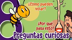 8 Preguntas cotidianas respondidas por la FÍSICA Instructional Video