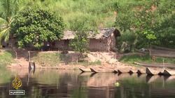 DRC rainforest at risk as government plans to sell rights to oil News Clip