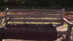 Engraved bench in memory of Bob Willis News Clip