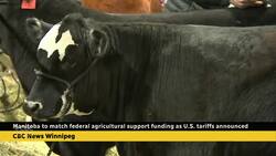 Manitoba premier announces match to federal agricultural support funding as U.S. tariffs announced News Clip