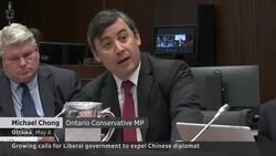 Government pressured to expel Chinese diplomat News Clip